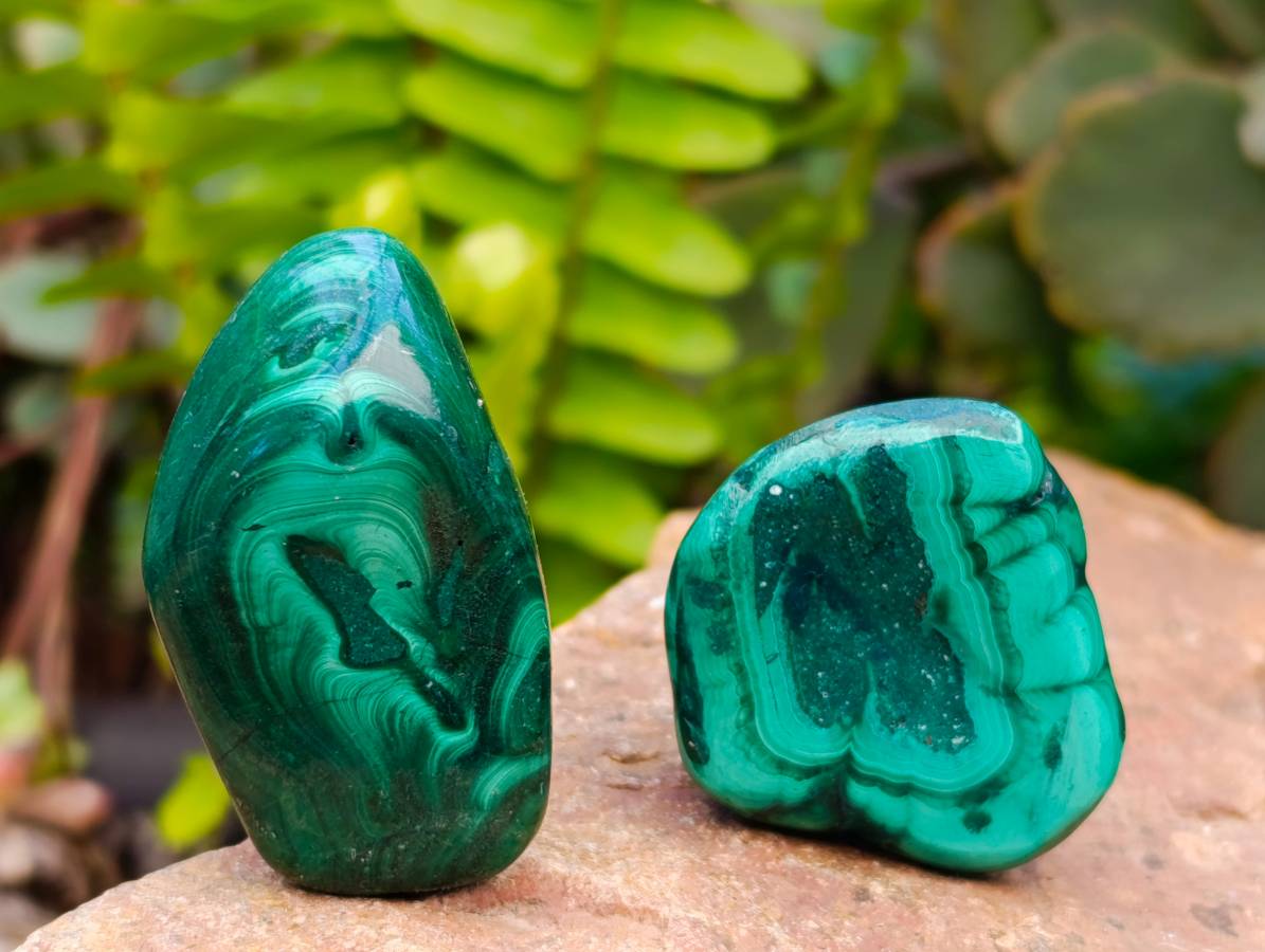 Polished Flower Banded Malachite Free Forms x 35 From Congo - Toprock Gemstones and Minerals 