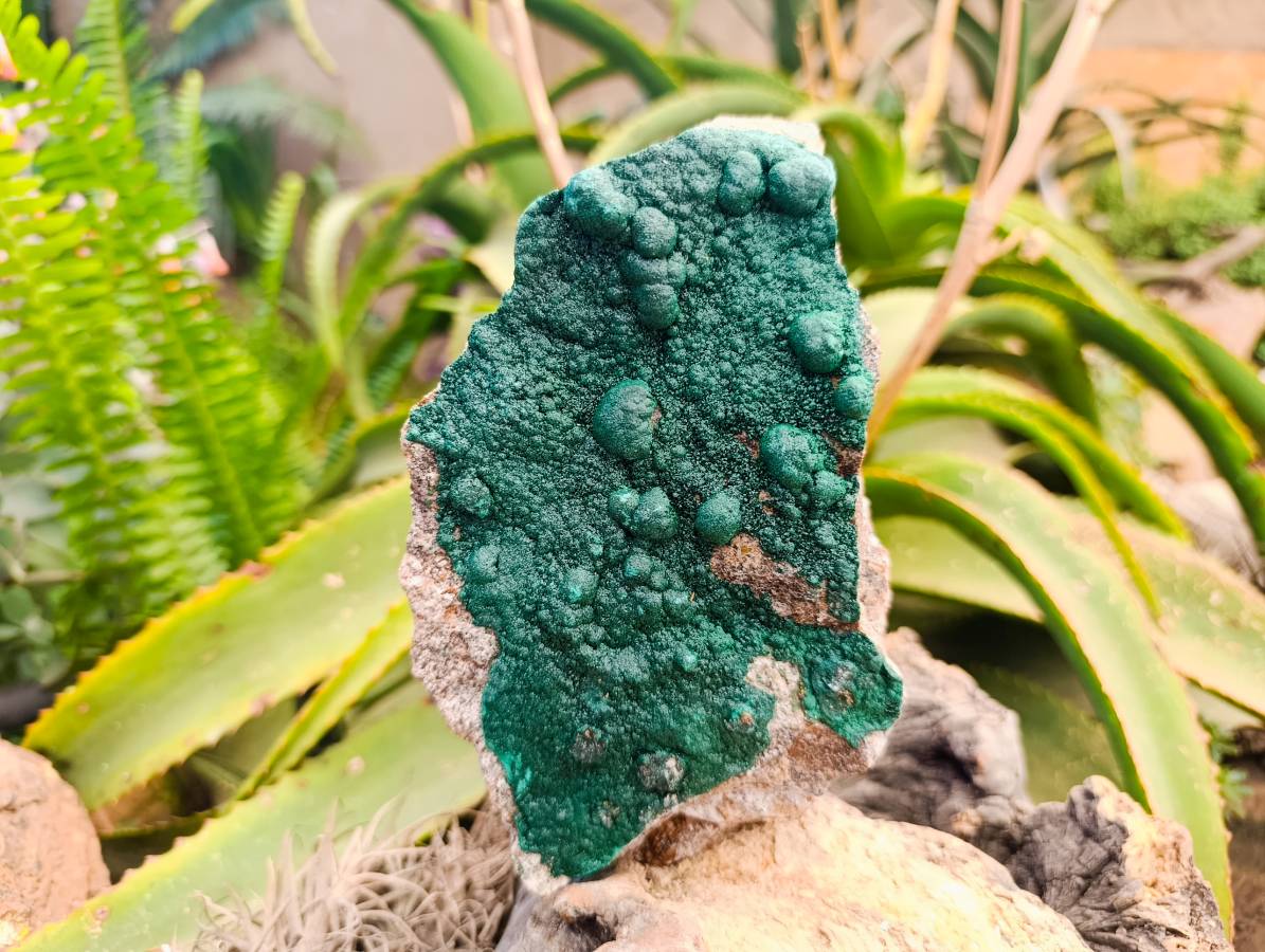 Natural Ball Malachite and Drusy Quartz On Dolomite Matrix Specimens x 2 From Mindingi Mine, Kambove, Congo - Toprock Gemstones and Minerals 