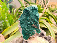 Natural Ball Malachite and Drusy Quartz On Dolomite Matrix Specimens x 2 From Mindingi Mine, Kambove, Congo