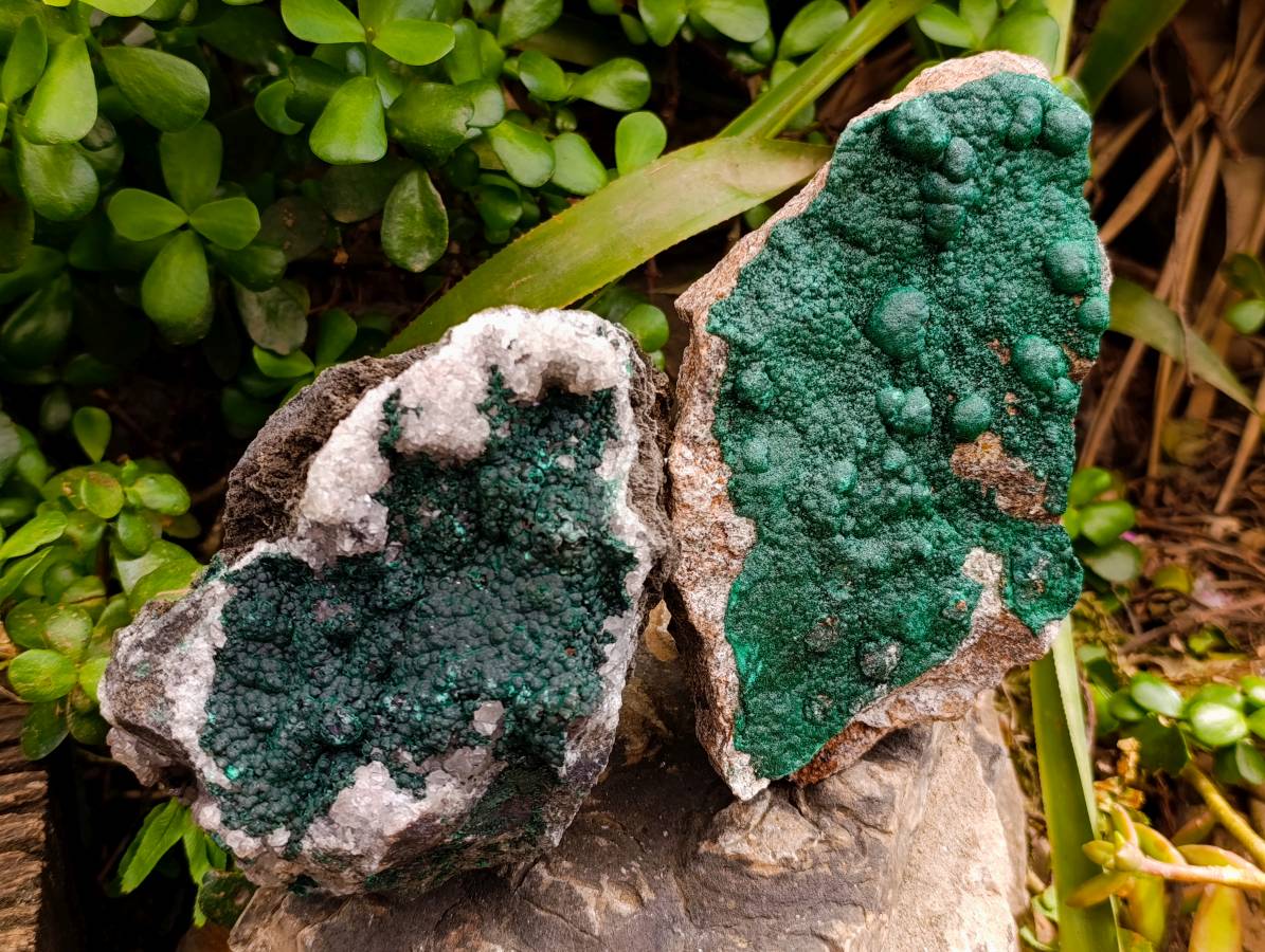 Natural Ball Malachite and Drusy Quartz On Dolomite Matrix Specimens x 2 From Mindingi Mine, Kambove, Congo - Toprock Gemstones and Minerals 