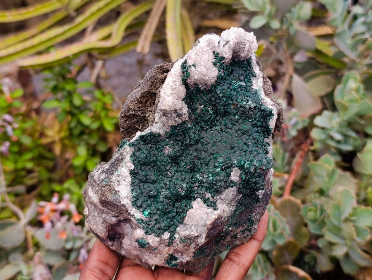 Natural Ball Malachite and Drusy Quartz On Dolomite Matrix Specimens x 2 From Mindingi Mine, Kambove, Congo - Toprock Gemstones and Minerals 