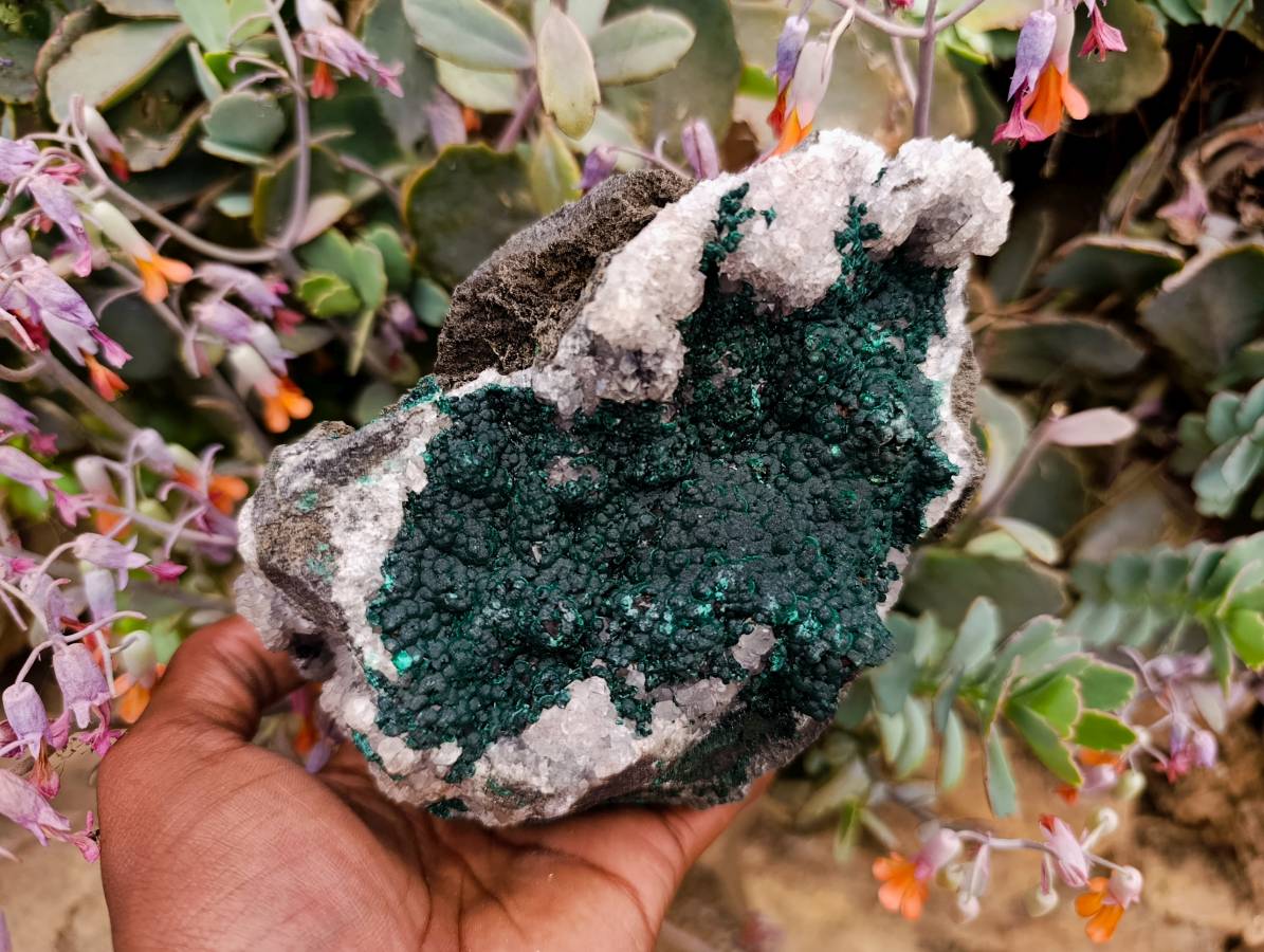 Natural Ball Malachite and Drusy Quartz On Dolomite Matrix Specimens x 2 From Mindingi Mine, Kambove, Congo - Toprock Gemstones and Minerals 