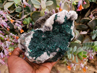 Natural Ball Malachite and Drusy Quartz On Dolomite Matrix Specimens x 2 From Mindingi Mine, Kambove, Congo