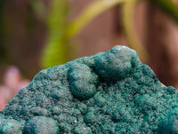 Natural Ball Malachite and Drusy Quartz On Dolomite Matrix Specimens x 2 From Mindingi Mine, Kambove, Congo