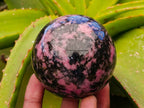 Polished Rhodonite Spheres x 4 From Ambindavato, Madagascar - Toprock Gemstones and Minerals 