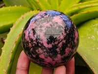 Polished Rhodonite Spheres x 4 From Ambindavato, Madagascar