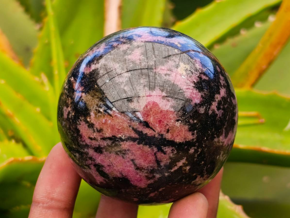 Polished Rhodonite Spheres x 4 From Ambindavato, Madagascar - Toprock Gemstones and Minerals 