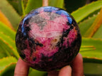 Polished Rhodonite Spheres x 4 From Ambindavato, Madagascar - Toprock Gemstones and Minerals 