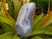 Polished Blue Lace Agate Standing Free Forms x 1 From Nsanje, Malawi - Toprock Gemstones and Minerals 