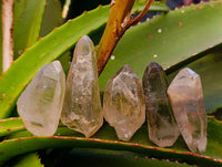 Natural Mine Run Smokey Quartz Crystals x 35 From Madagascar