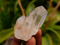 Natural Mine Run Smokey Quartz Crystals x 35 From Madagascar