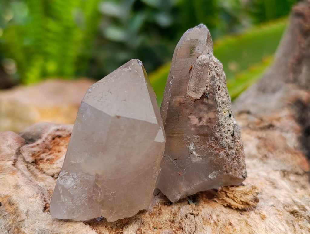 Natural Mine Run Smokey Quartz Crystals x 35 From Madagascar - Toprock Gemstones and Minerals 