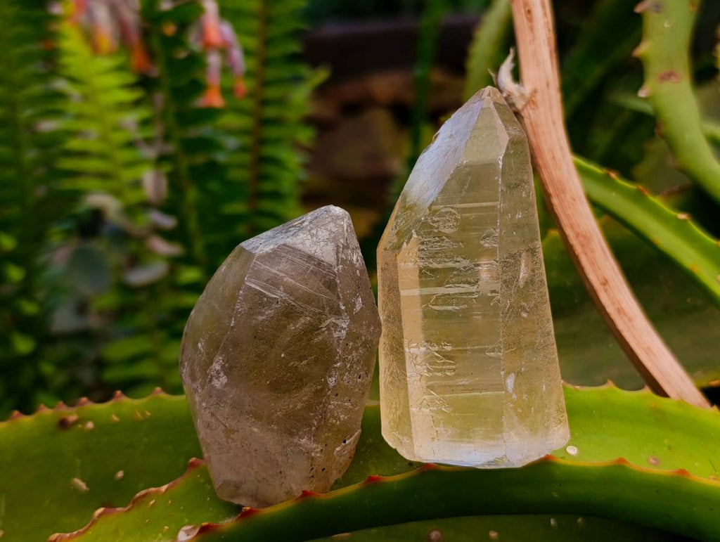 Natural Mine Run Smokey Quartz Crystals x 35 From Madagascar - Toprock Gemstones and Minerals 