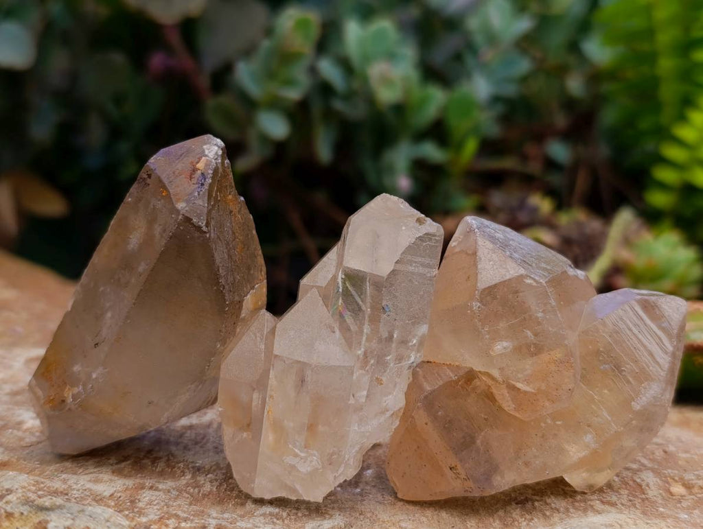 Natural Mine Run Smokey Quartz Crystals x 35 From Madagascar - Toprock Gemstones and Minerals 