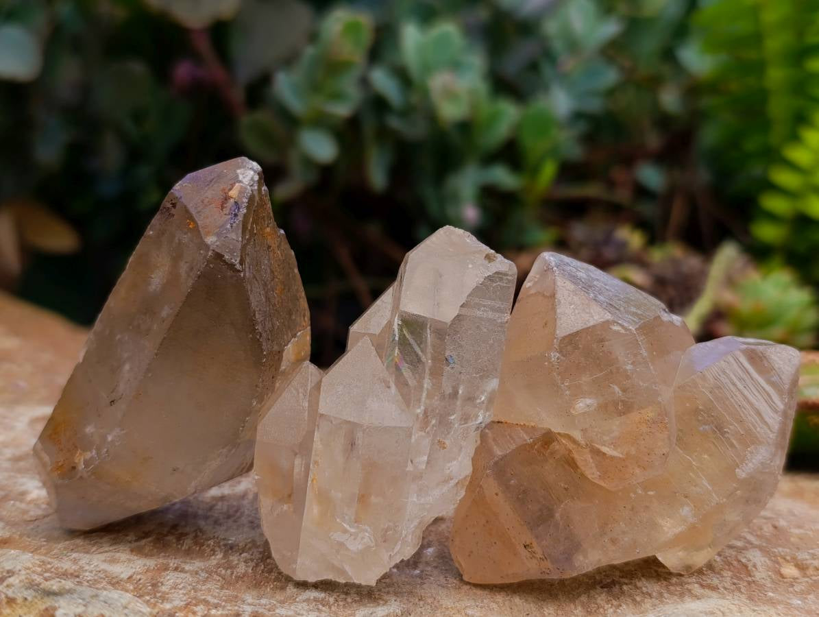 Natural Mine Run Smokey Quartz Crystals x 35 From Madagascar - Toprock Gemstones and Minerals 