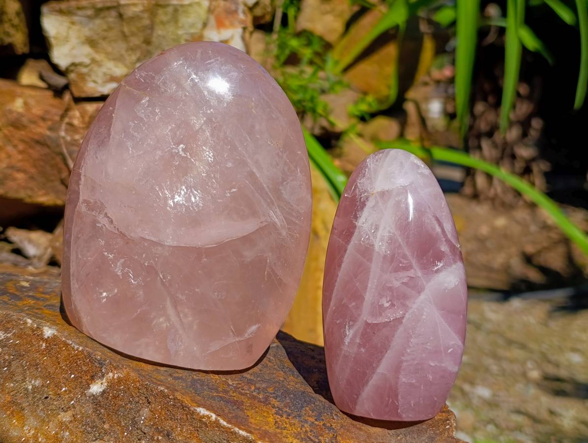 Polished Rose Quartz Standing Free Form x 2 From Madagascar - Toprock Gemstones and Minerals 