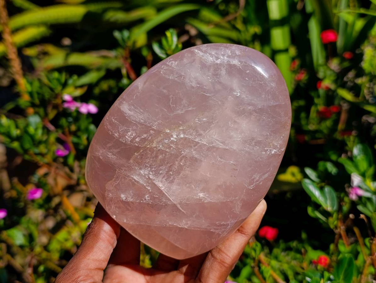 Polished Rose Quartz Standing Free Form x 2 From Madagascar - Toprock Gemstones and Minerals 
