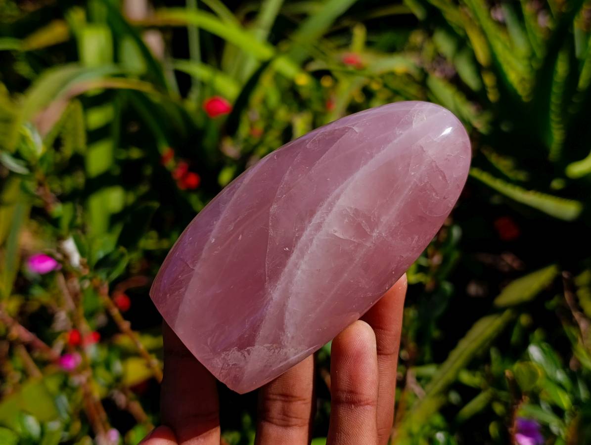 Polished Rose Quartz Standing Free Form x 2 From Madagascar - Toprock Gemstones and Minerals 