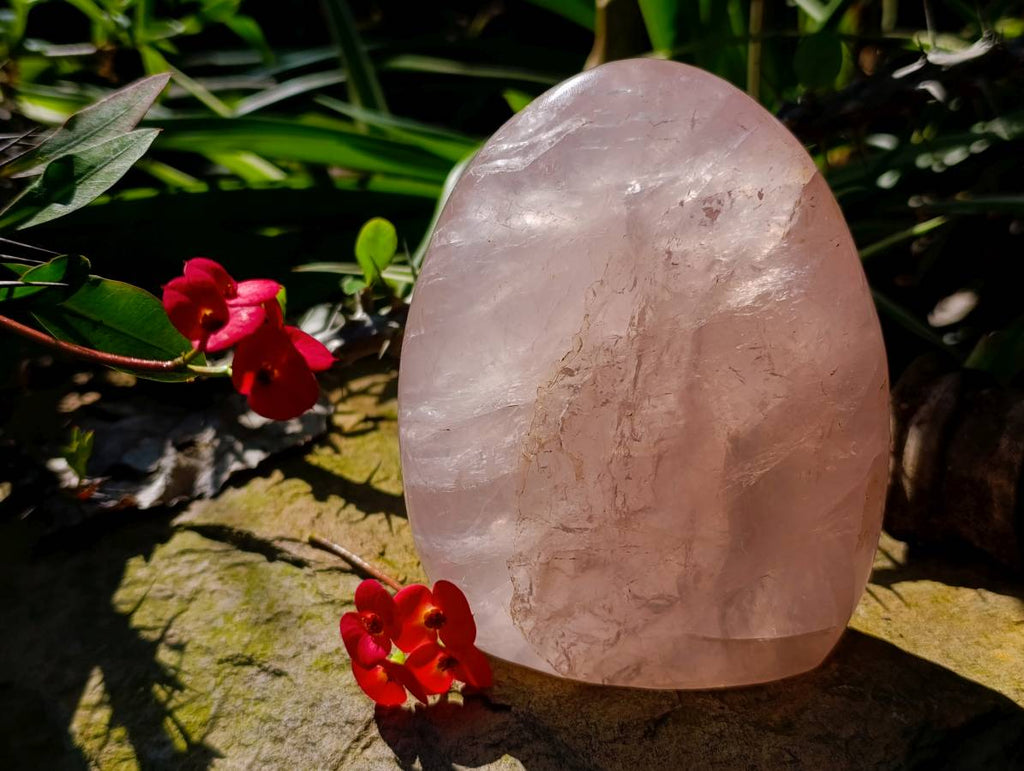 Polished Rose Quartz Standing Free Form x 2 From Madagascar - Toprock Gemstones and Minerals 