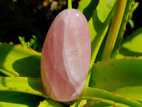Polished Rose Quartz Standing Free Form x 2 From Madagascar