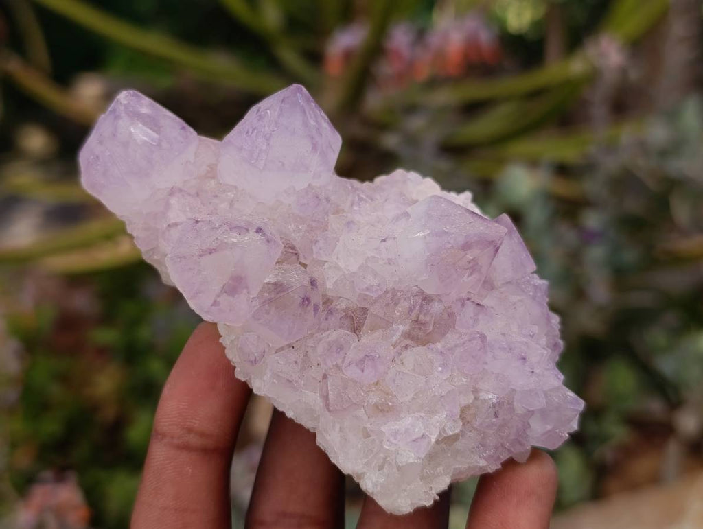 Natural Sunburst Amethyst Spirit Quartz Clusters x 6 From Boekenhouthoek, South Africa - Toprock Gemstones and Minerals 