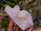 Natural Sunburst Amethyst Spirit Quartz Clusters x 6 From Boekenhouthoek, South Africa - Toprock Gemstones and Minerals 