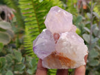 Natural Sunburst Amethyst Spirit Quartz Clusters x 6 From Boekenhouthoek, South Africa - Toprock Gemstones and Minerals 