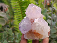 Natural Sunburst Amethyst Spirit Quartz Clusters x 6 From Boekenhouthoek, South Africa