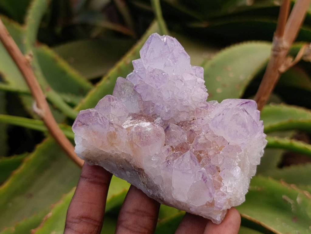 Natural Sunburst Amethyst Spirit Quartz Clusters x 6 From Boekenhouthoek, South Africa - Toprock Gemstones and Minerals 
