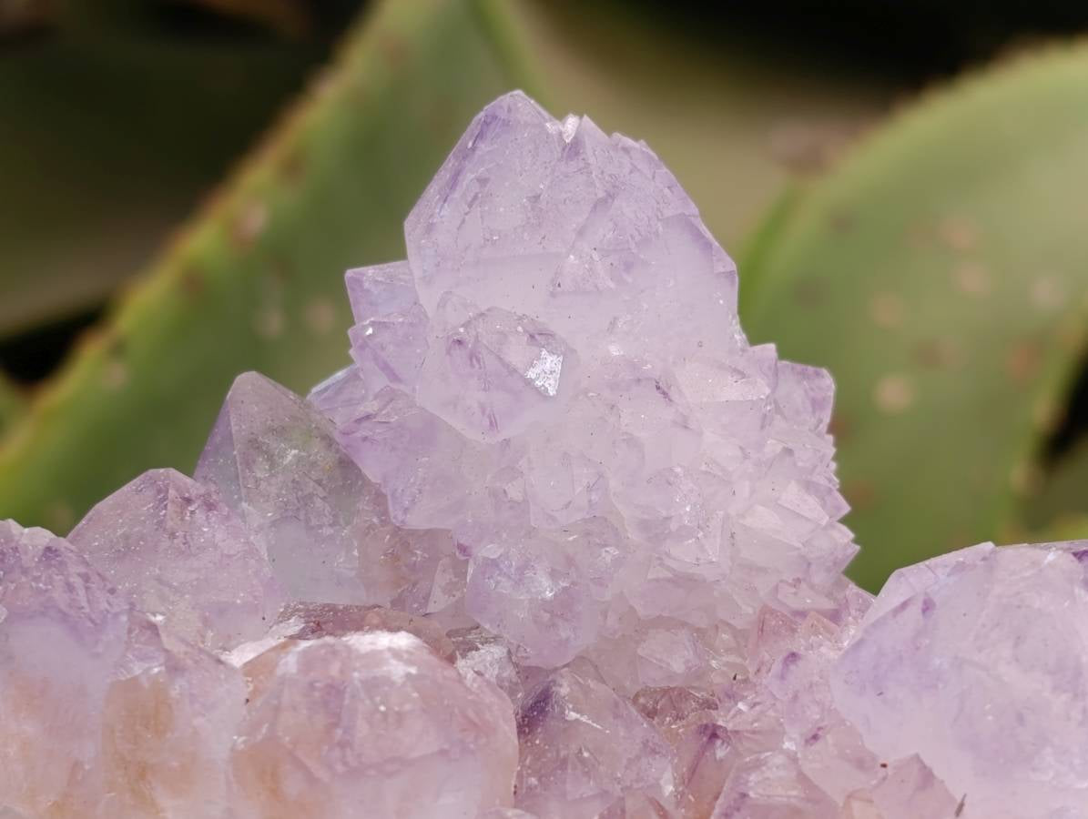 Natural Sunburst Amethyst Spirit Quartz Clusters x 6 From Boekenhouthoek, South Africa - Toprock Gemstones and Minerals 