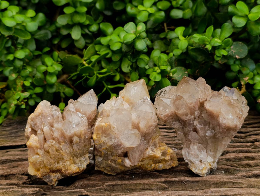 Natural Smokey Phantom Quartz Clusters x 3 From Luena, Congo - Toprock Gemstones and Minerals 