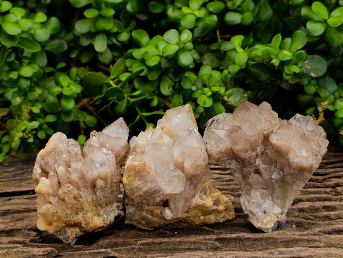 Natural Smokey Phantom Quartz Clusters x 3 From Luena, Congo - Toprock Gemstones and Minerals 