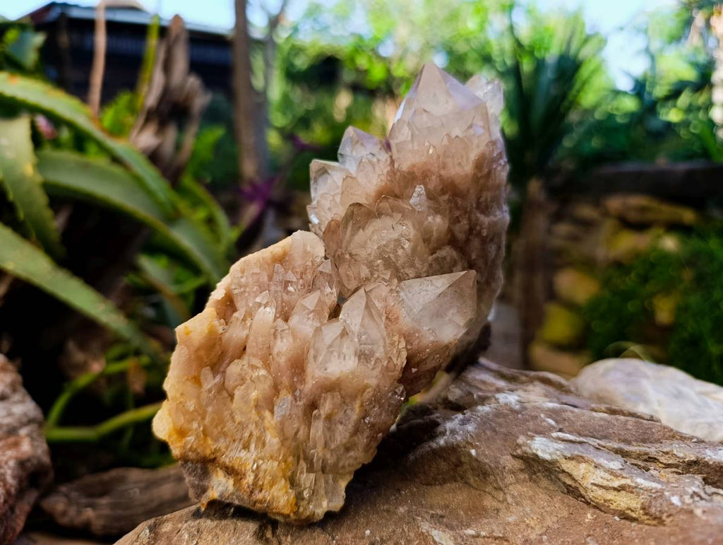 Natural Smokey Phantom Quartz Clusters x 3 From Luena, Congo - Toprock Gemstones and Minerals 