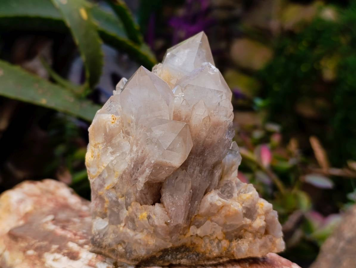 Natural Smokey Phantom Quartz Clusters x 3 From Luena, Congo - Toprock Gemstones and Minerals 