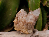 Natural Smokey Phantom Quartz Clusters x 3 From Luena, Congo