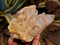 Natural Smokey Phantom Quartz Clusters x 3 From Luena, Congo