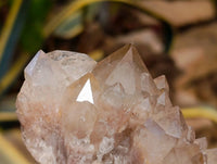 Natural Smokey Phantom Quartz Clusters x 3 From Luena, Congo