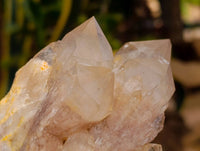 Natural Smokey Phantom Quartz Clusters x 3 From Luena, Congo