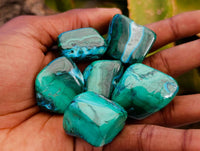 Polished Malacolla Free Forms x 35 From Kulukuluku, Congo