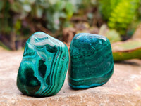 Polished Malacolla Free Forms x 35 From Kulukuluku, Congo