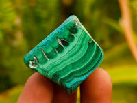 Polished Malacolla Free Forms x 35 From Kulukuluku, Congo