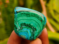 Polished Malacolla Free Forms x 35 From Kulukuluku, Congo