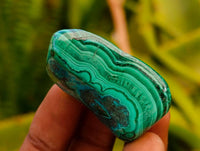 Polished Malacolla Free Forms x 35 From Kulukuluku, Congo