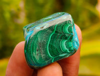 Polished Malacolla Free Forms x 35 From Kulukuluku, Congo