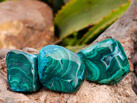 Polished Malacolla Free Forms x 35 From Kulukuluku, Congo