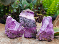 Natural Stichtite Cobbed Specimens x 24 From Barberton, South Africa