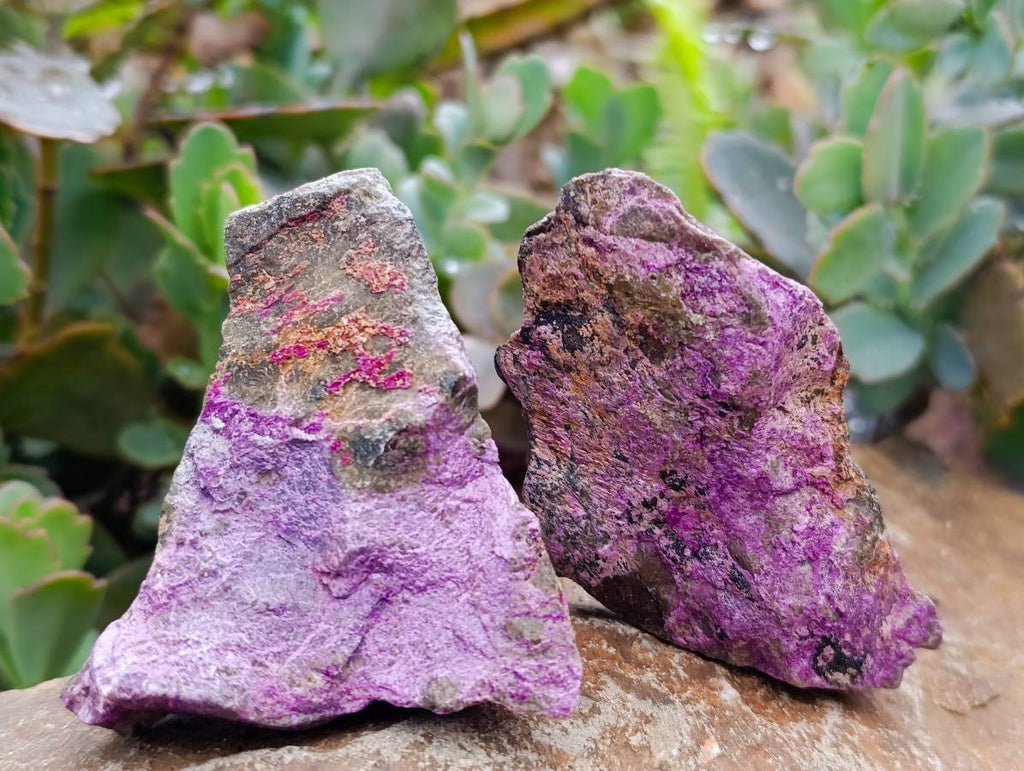 Natural Stichtite Cobbed Specimens x 24 From Barberton, South Africa - Toprock Gemstones and Minerals 