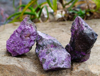 Natural Stichtite Cobbed Specimens x 24 From Barberton, South Africa