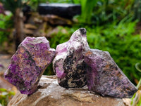 Natural Stichtite Cobbed Specimens x 24 From Barberton, South Africa