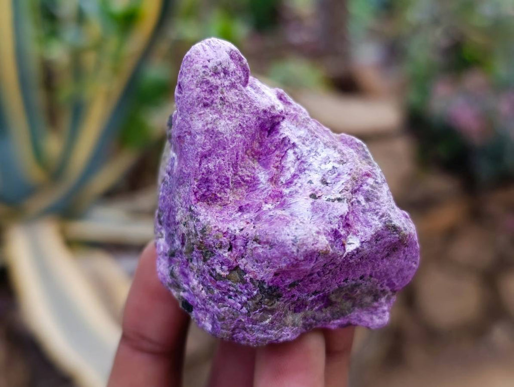 Natural Stichtite Cobbed Specimens x 24 From Barberton, South Africa - Toprock Gemstones and Minerals 